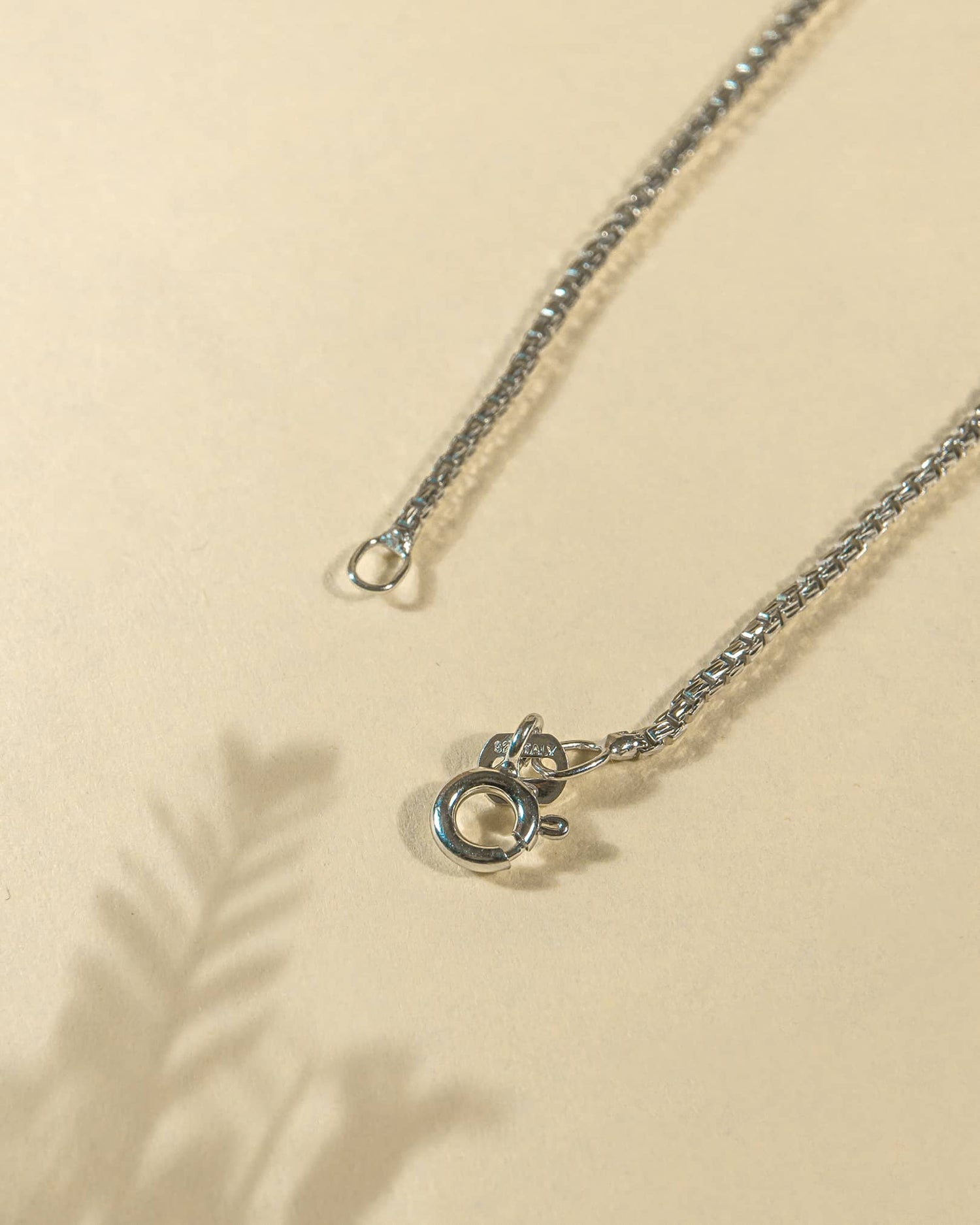 Silver necklace with clasp on a beige background