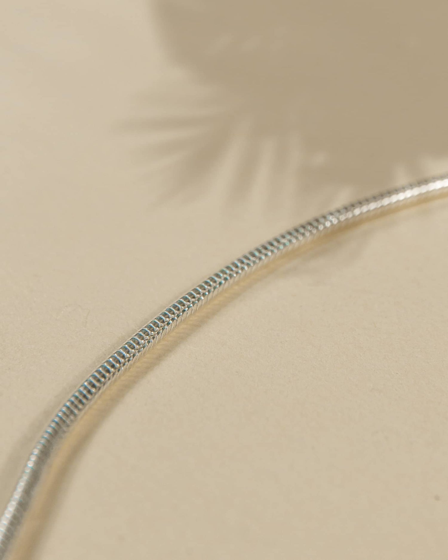 Silver snake chain necklace on a beige background