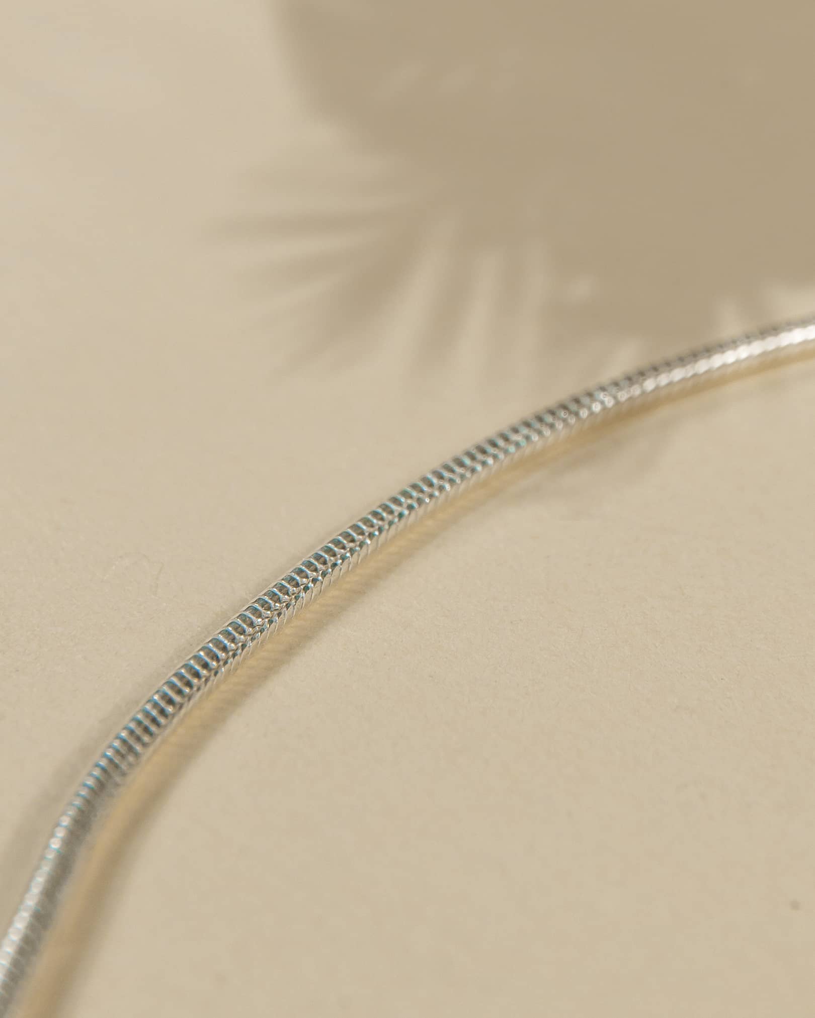 Silver snake chain necklace on a beige background